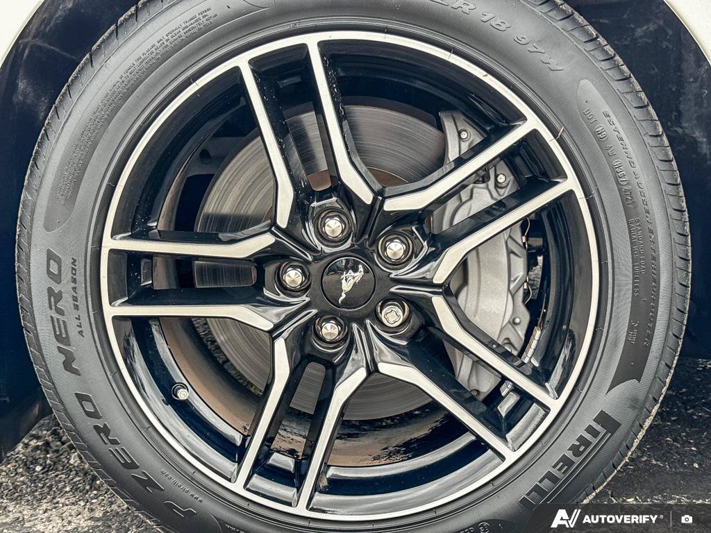 Used 2022 Ford Mustang GT 5.0 L RWD at KW Auto Credit