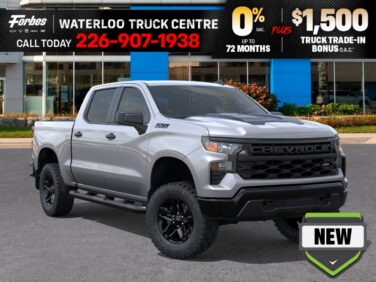 New 2026 Chevrolet Silverado 1500 Custom Trail Boss 5.3L 4WD at KW Auto Credit