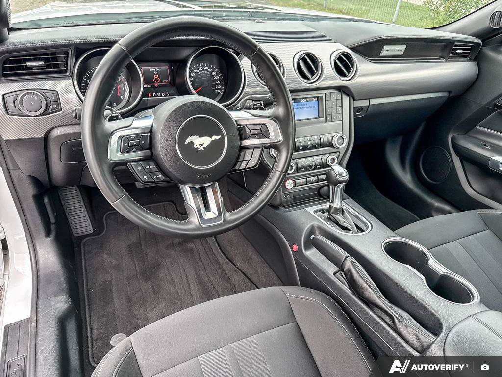 Used 2022 Ford Mustang GT 5.0 L RWD at KW Auto Credit