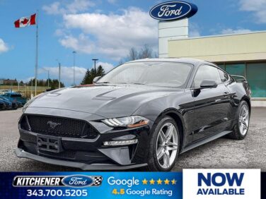Used 2019 Ford Mustang GT Premium 5.0 L RWD at KW Auto Credit